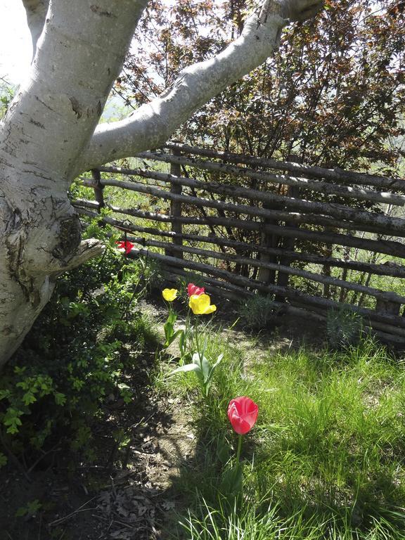 B&B Ca Biocco Sogliano al Rubicone Eksteriør billede